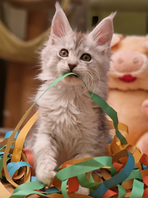 evy010w5t (86 kb) click to view