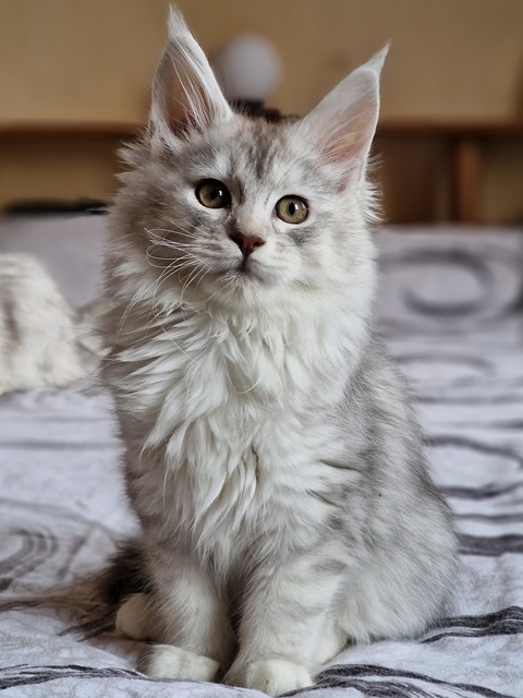 evy012w-010 (94 kb) click to view