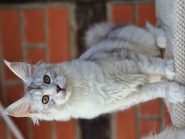 evy04m-001 (87 kb) click to view