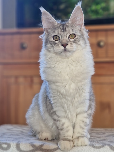 evy05m-001 (71 kb) click to view