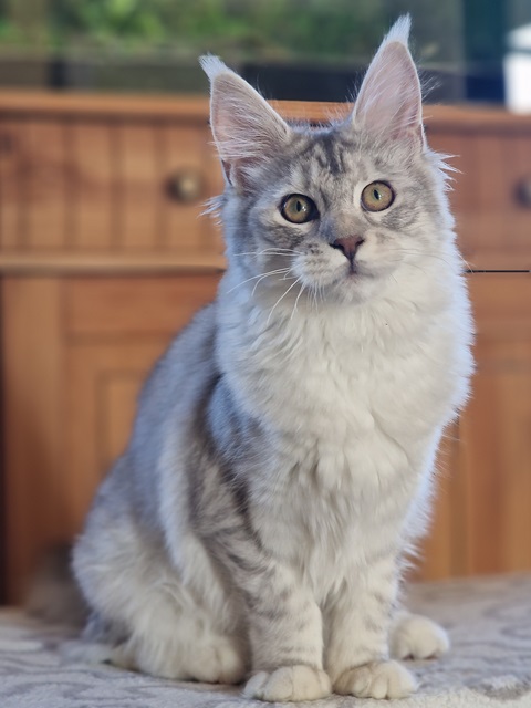 evy05m-002 (71 kb) click to view