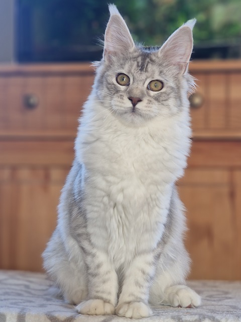 evy05m-003 (70 kb) click to view