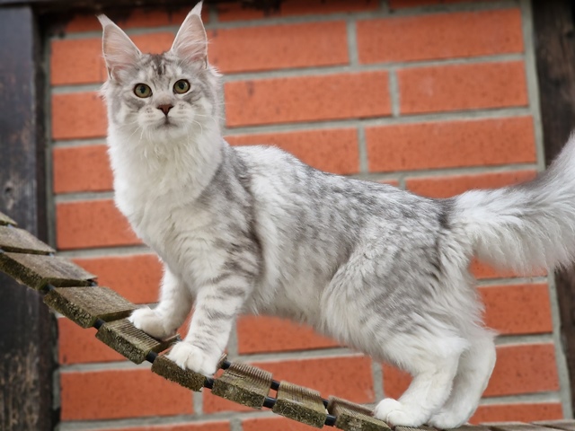 evy05m-004 (111 kb) click to view