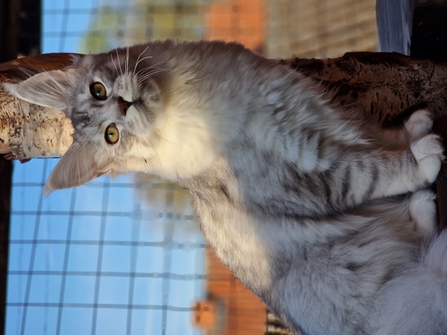 evy05m-005 (108 kb) click to view