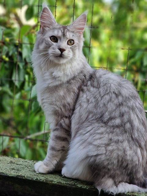 evy07m-002 (122 kb) click to view