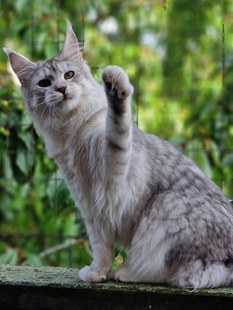 evy07m-003 (103 kb) click to view