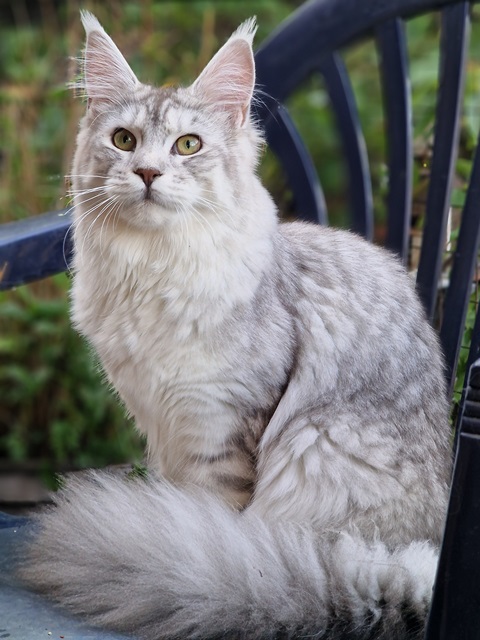 evy07m-004 (108 kb) click to view