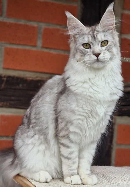 evy07m-005 (82 kb) click to view