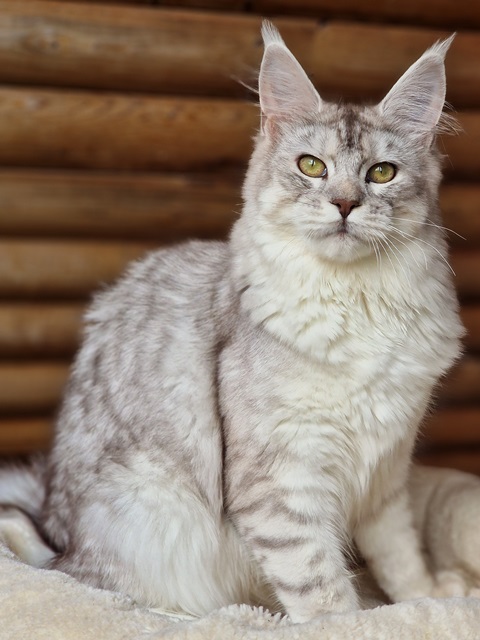 evy07m-006 (91 kb) click to view