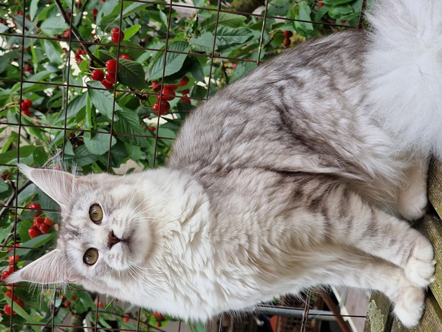 evy08m-001 (181 kb) click to view