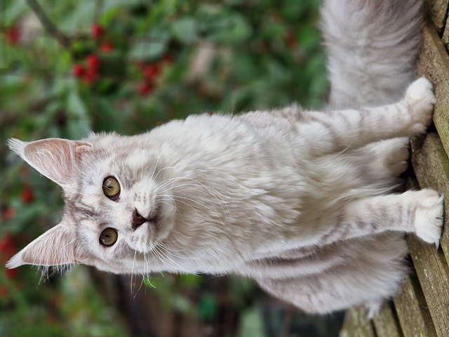 evy08m-002 (110 kb) click to view