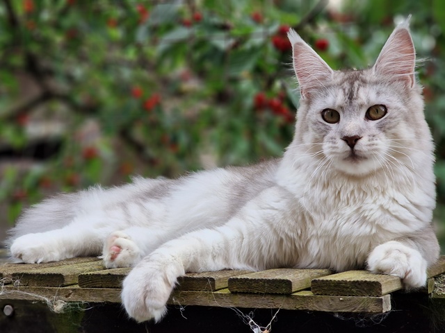 evy08m-003 (118 kb) click to view