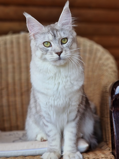 evy10m-001 (77 kb) click to view