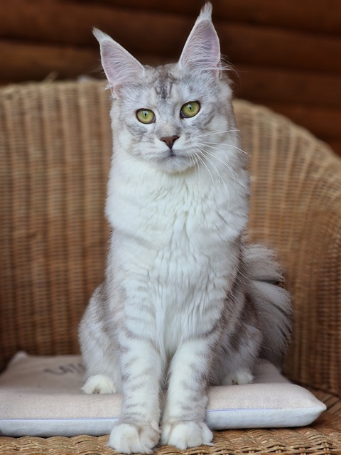 evy10m-002 (88 kb) click to view