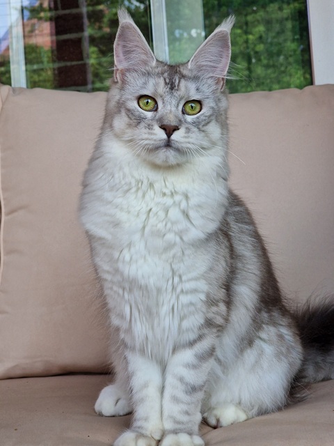 evy10m-003 (89 kb) click to view