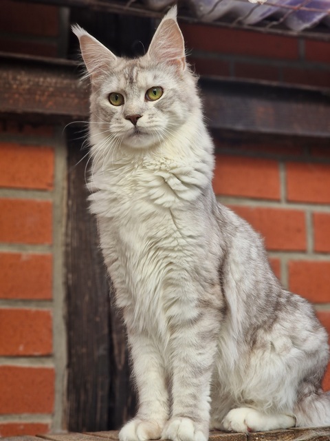 evy11m-001 (92 kb) click to view