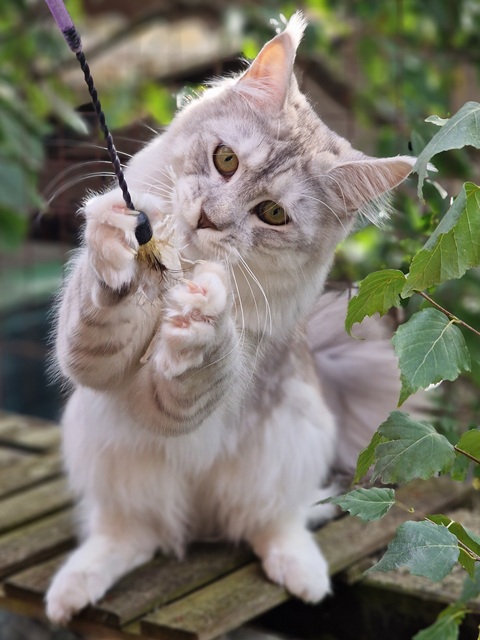 evy11m-002 (97 kb) click to view