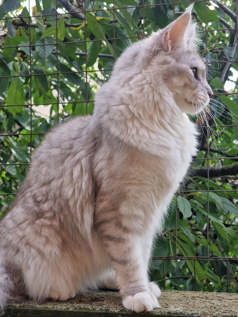 evy11m-004 (142 kb) click to view