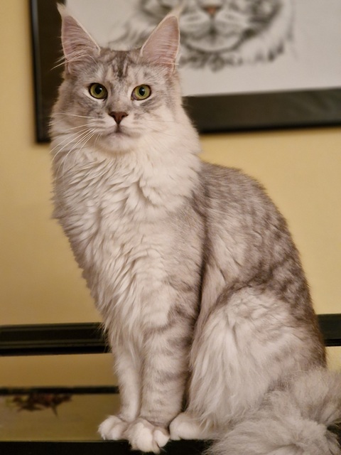 evy12m-001 (81 kb) click to view