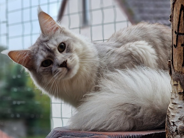 evy12m-002 (109 kb) click to view