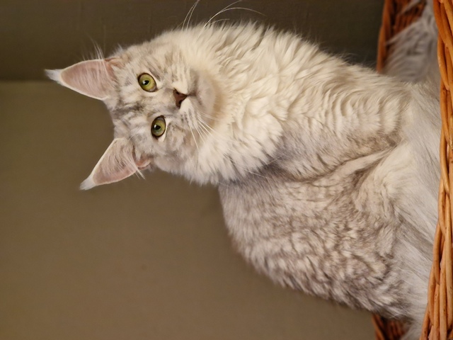 evy12m-003 (97 kb) click to view