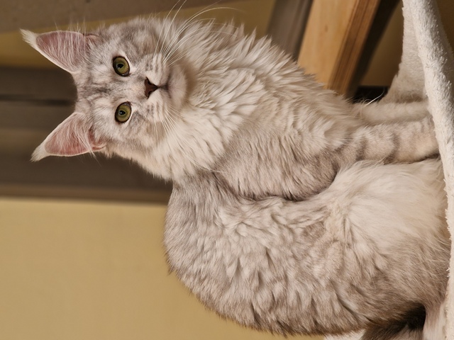 evy12m-004 (119 kb) click to view