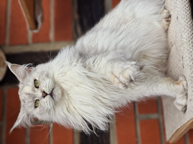 lici2025-09-001 (116 kb) click to view