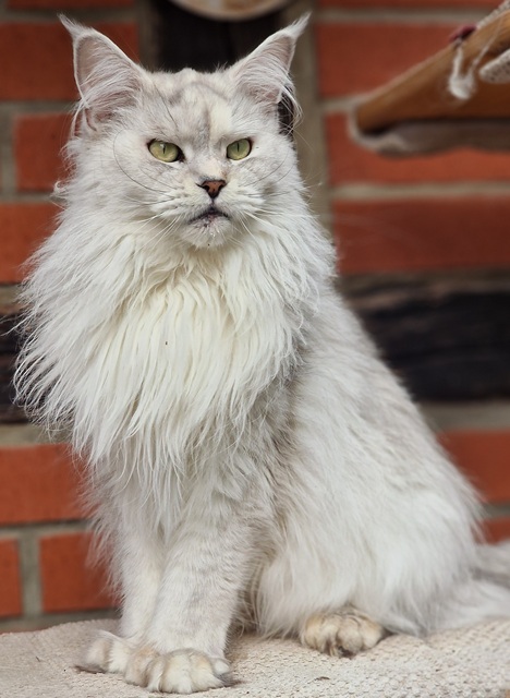 lici2025-09-002 (94 kb) click to view