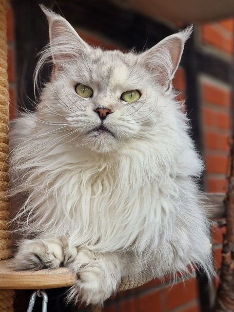 lici2025-09-003 (115 kb) click to view