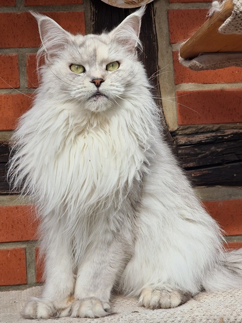 lici2025-09-005 (127 kb) click to view