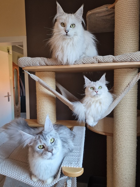 2025-10-patty-jadis-evy (116 kb) click to view