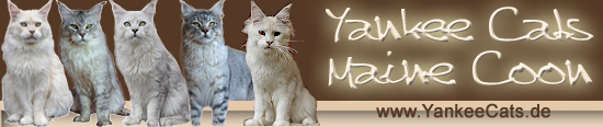 mein Banner zum verlinken